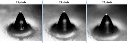 Figura 3 - Espanol - 1